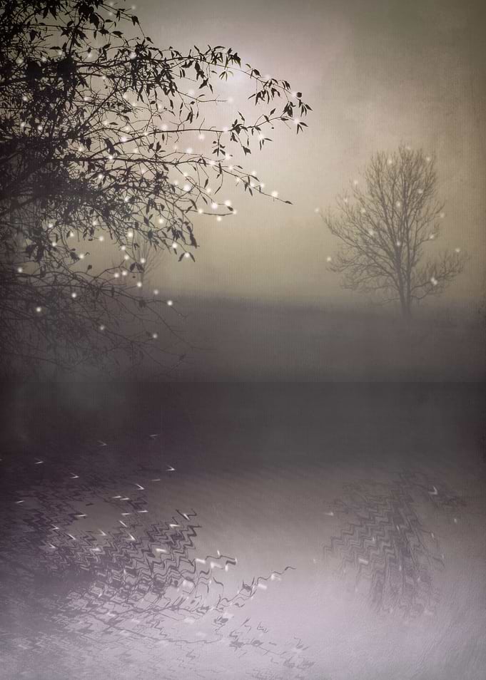 SONG OF THE NIGHTBIRD VELVET
