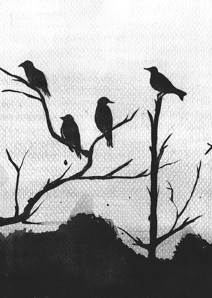Flightless Birds