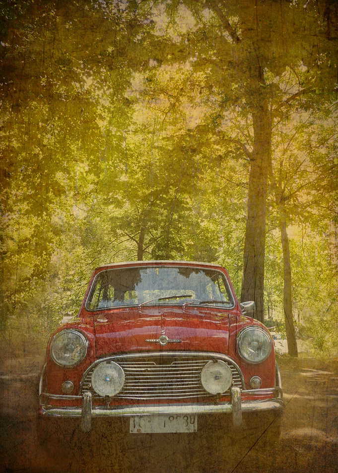 The Mini