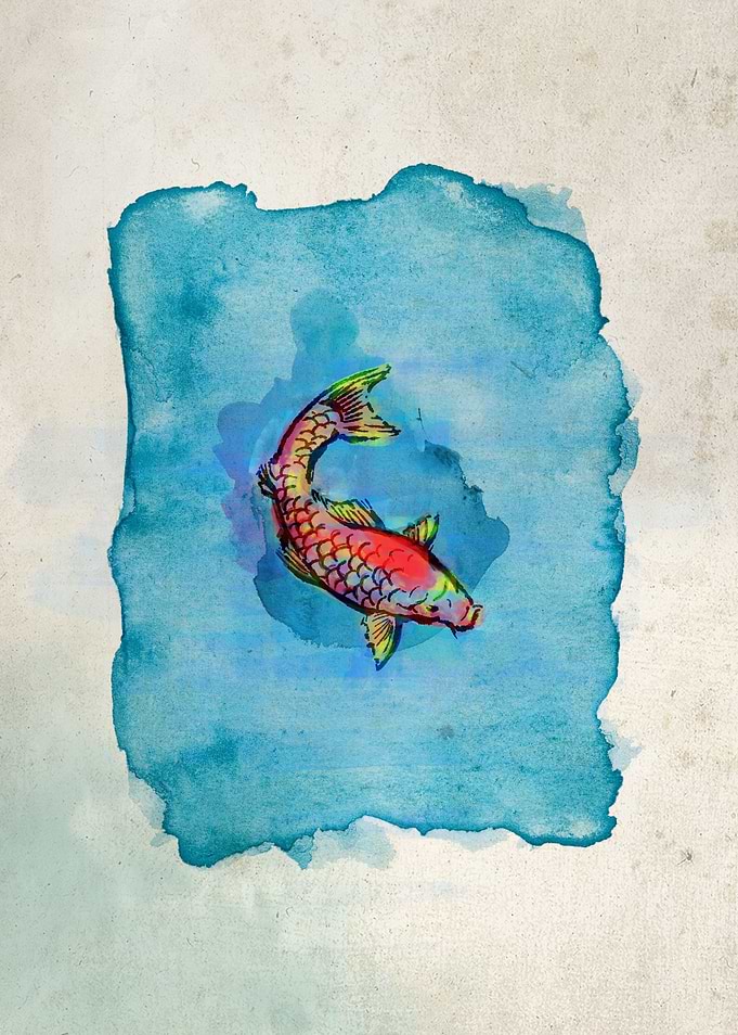 Small Fish Small Pond