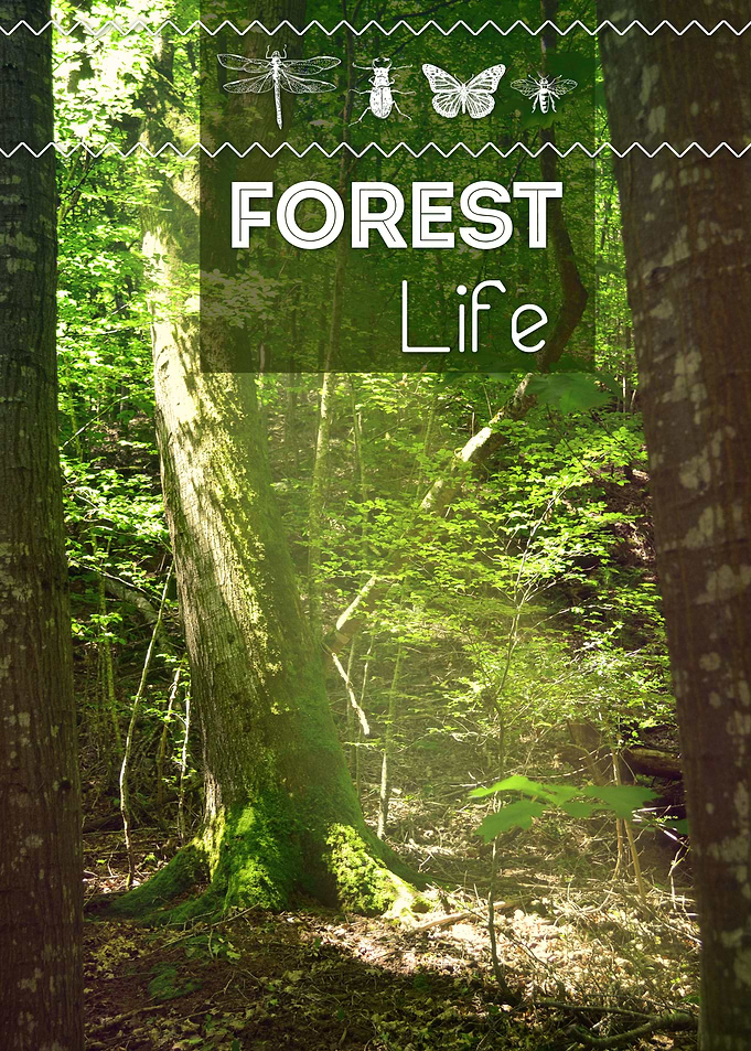 FOREST Life