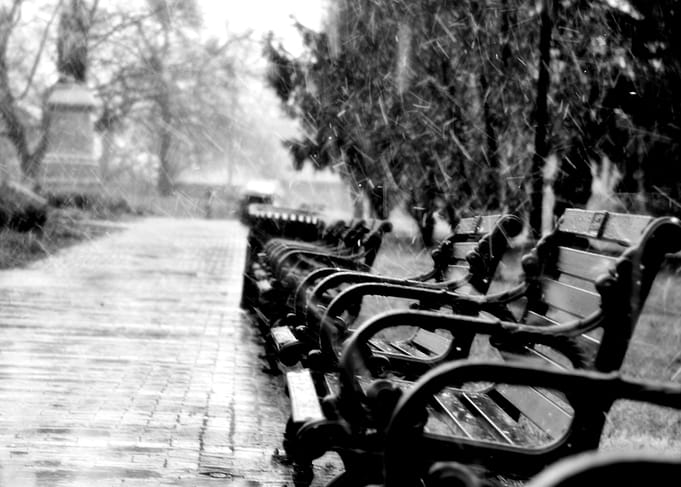 Park Benches