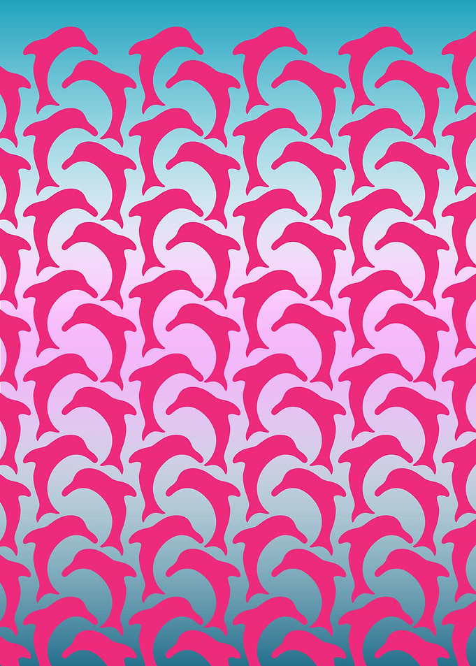 Pink Dolphin Pattern Play