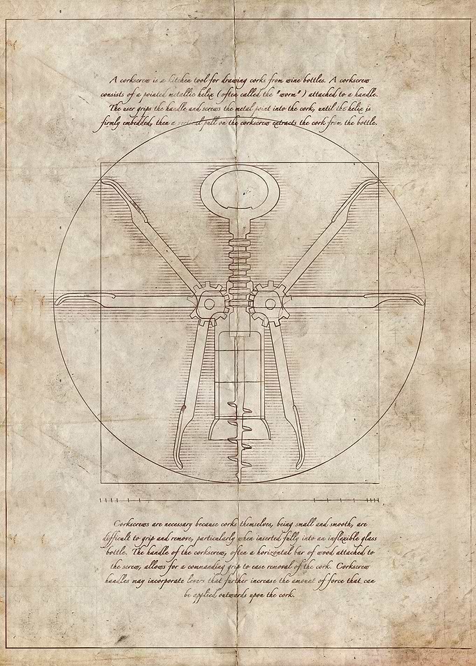Da Vinci's Real Screw Invention