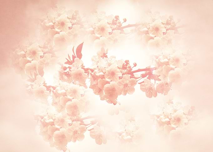 Blossom