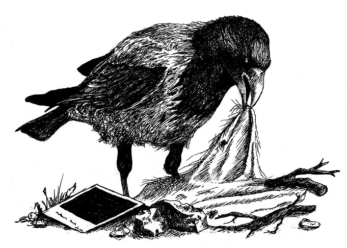 Crow's nest