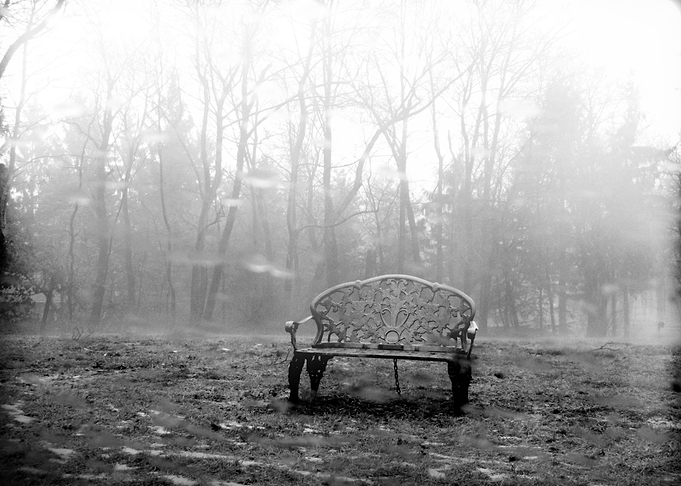 The Bench