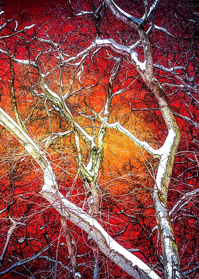 Red Winter Night