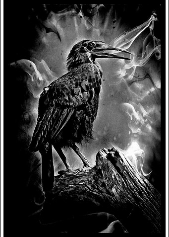 One Dark Scary Night The rhinoceros hornbill is a very ...