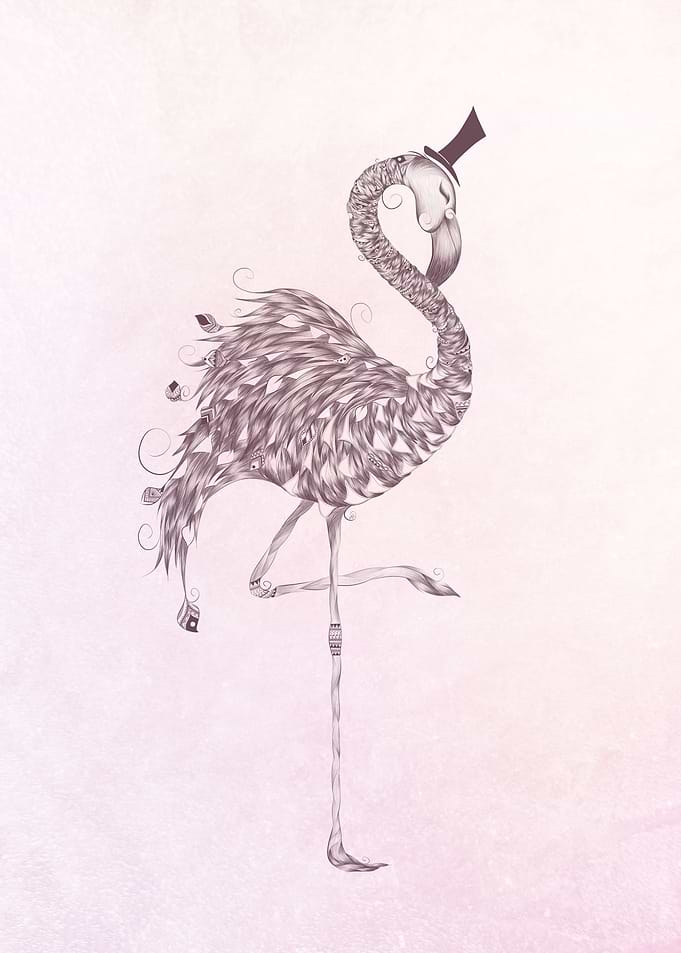 Flamingo