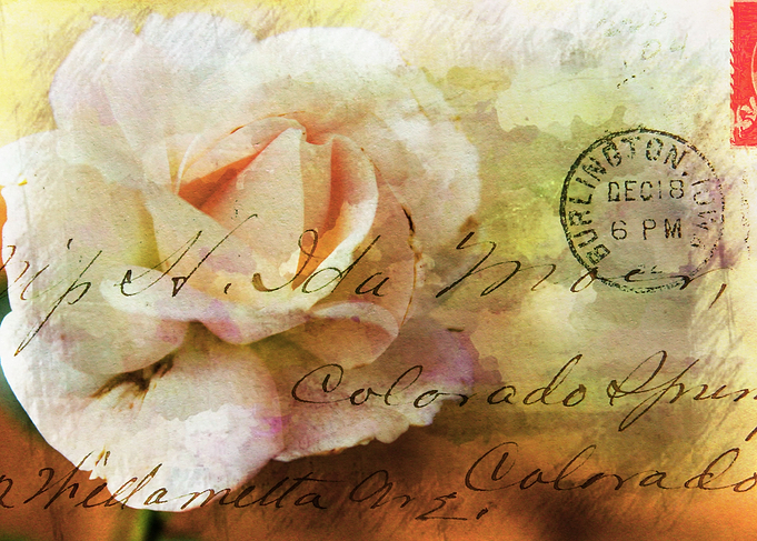 Old Fashioned Old fashioned vintage rose postcard. The ...