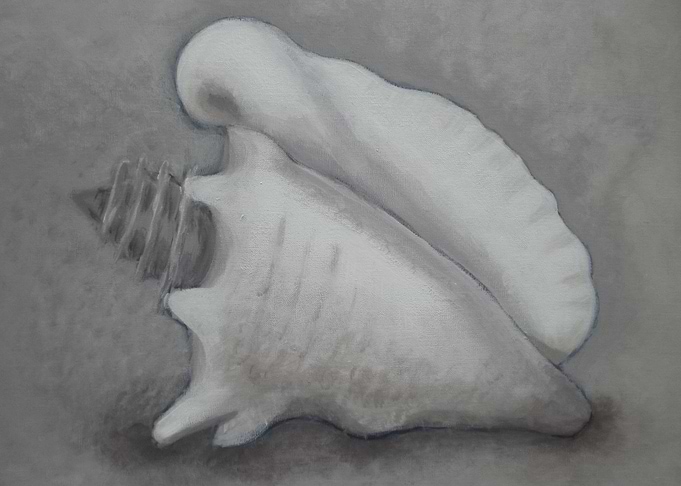 Shell