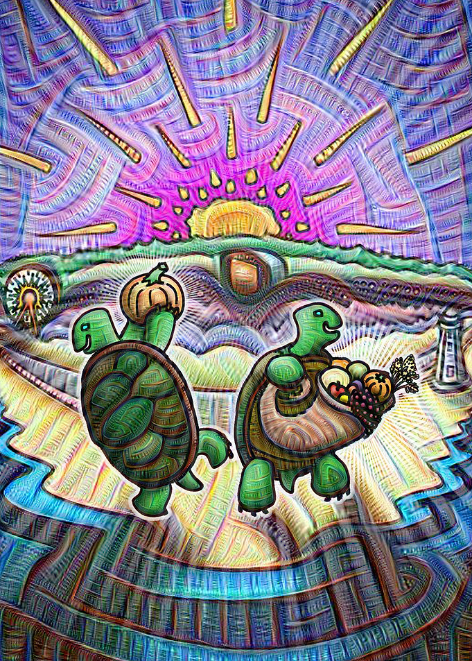 Terrapin Festival