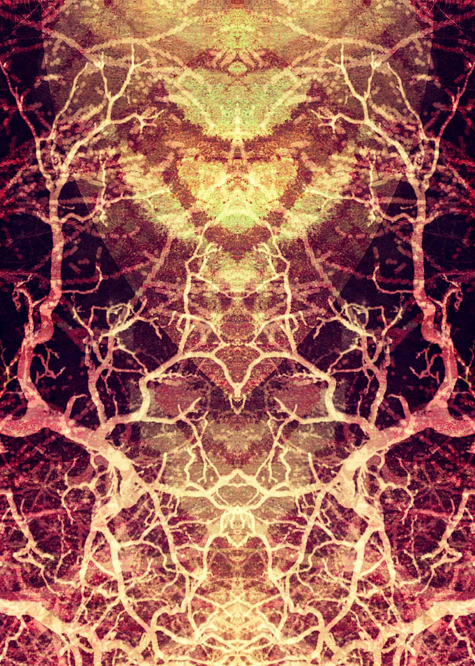 Title: Burning Roots VI-A. ©2015 Pia Schneider | atelie ...