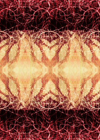 Title: Burning Roots III. ©2015 Pia Schneider | atelier ...