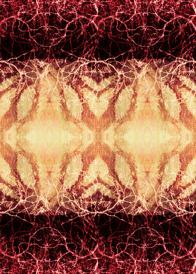 Title: Burning Roots III. ©2015 Pia Schneider | atelier ...