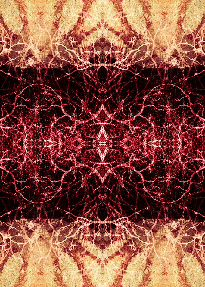 Burning Roots II_B-2
