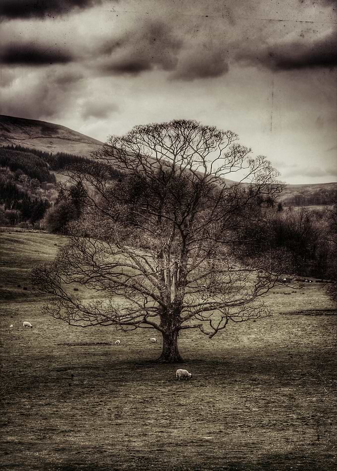 Nature at its best