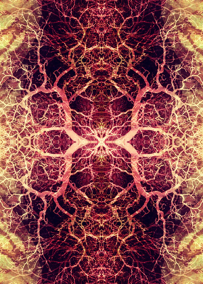 Title: Burning Roots IX. ©2015 Pia Schneider | atelier ...
