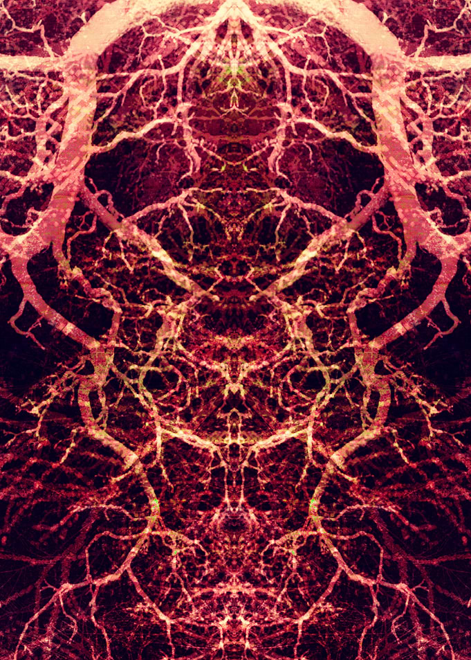 Burning Roots IX-B