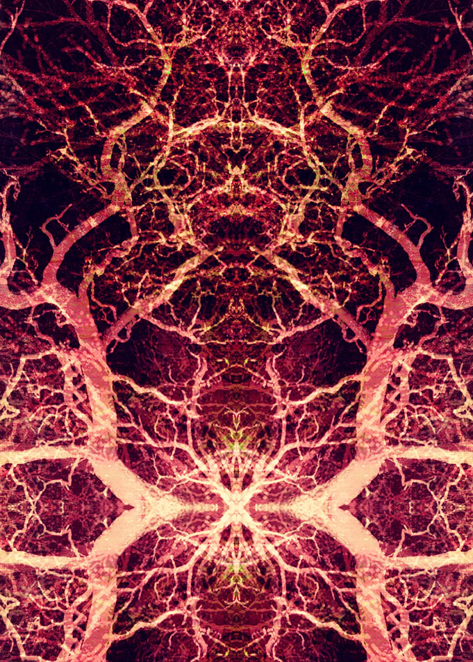 Burning Roots IX-A
