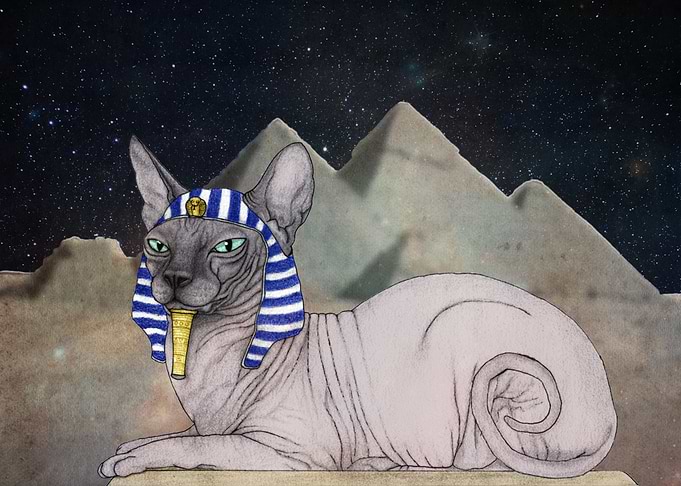 Sphynx Cat (space background)