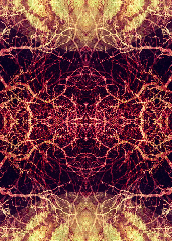 Title: Burning Roots X-A. ©2015 Pia Schneider | atelier ...