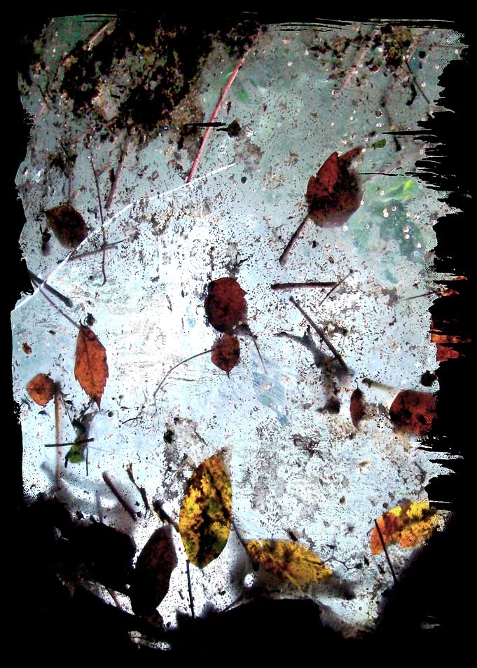 Abstract Leafs