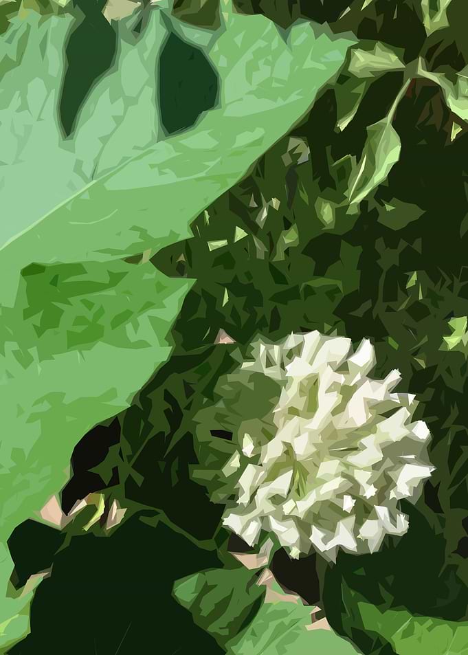 Leak Flower