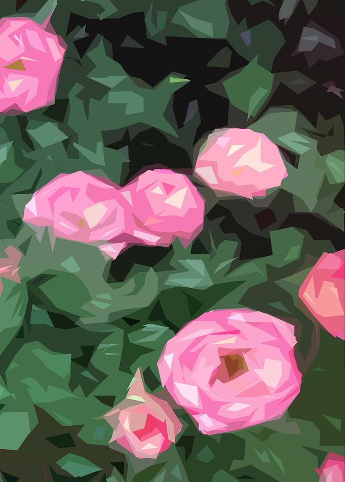 Miniature Pink Roses
