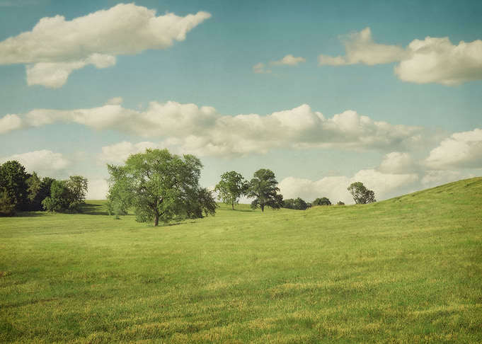 Rural Summer