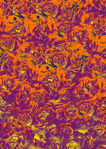 Rose pattern