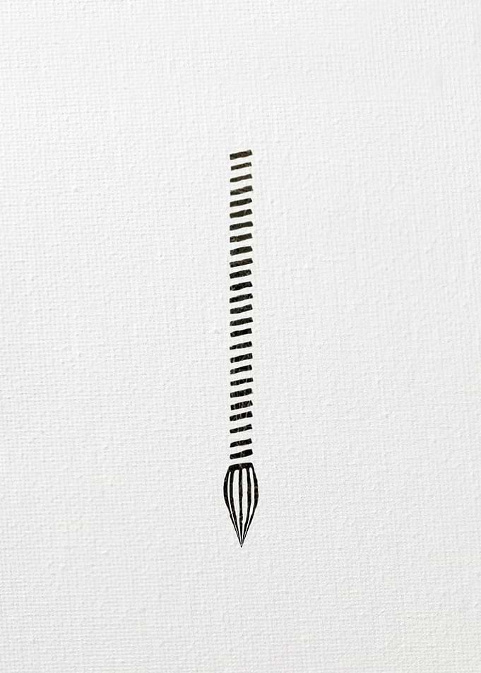 The White Zebra