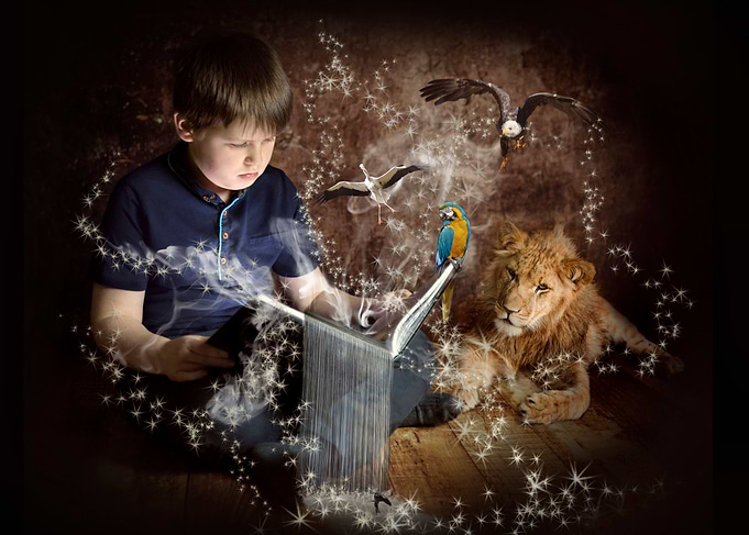 The Magic of Books