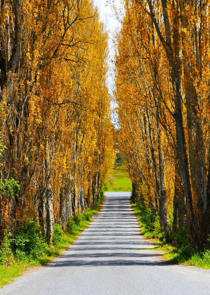 County Road