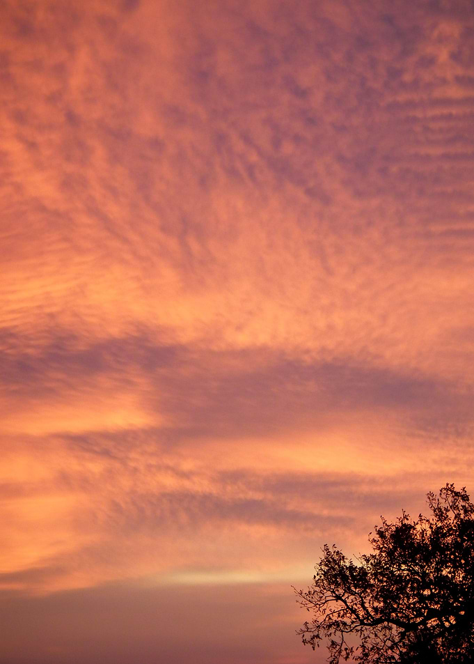 A wow sunset