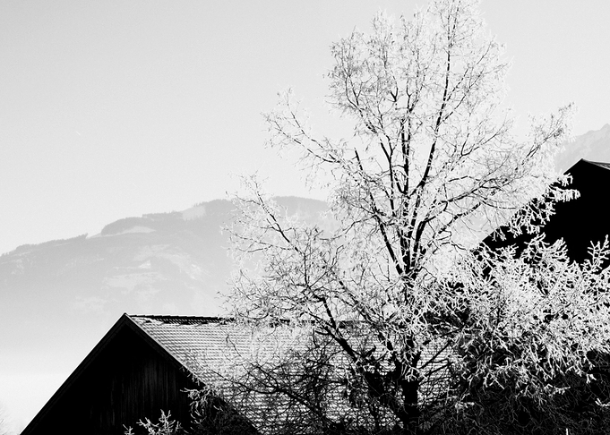 White Stillness I