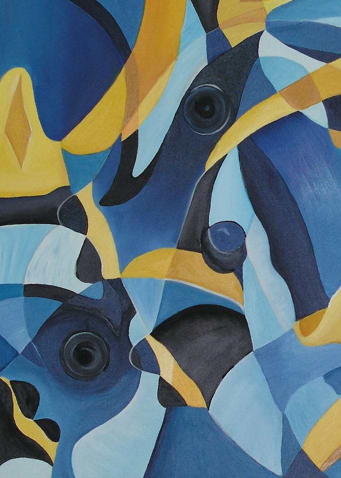 Powder Blue Tang
