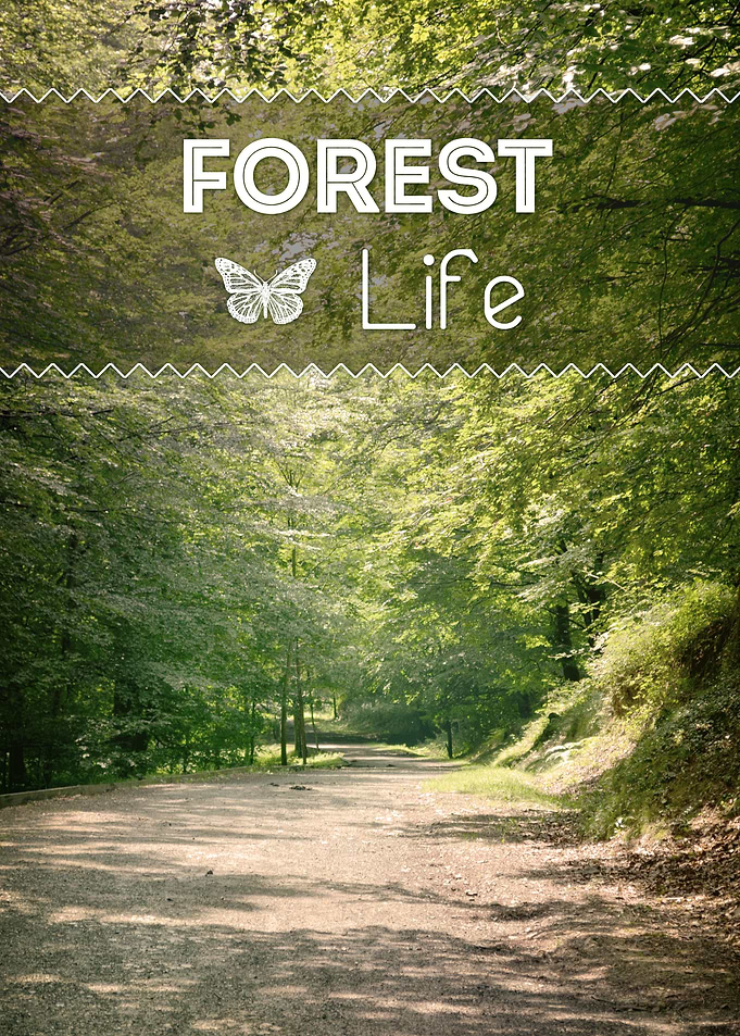 FOREST Life