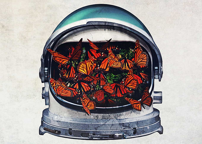 scifi surrealism space surrealism butterflies
