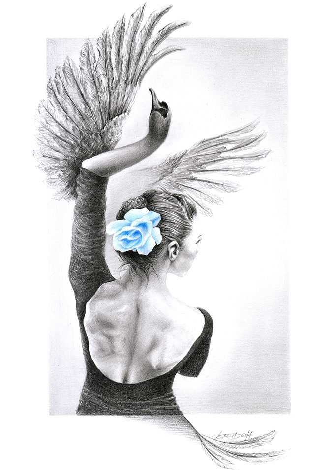 The Swan