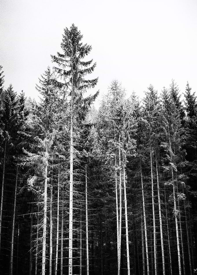 Exclusion
