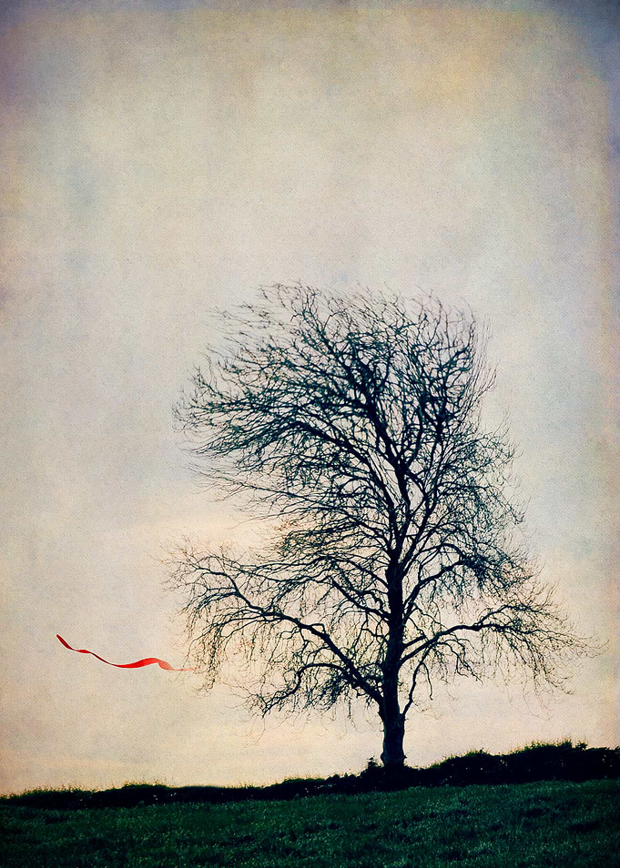 Red Ribbon