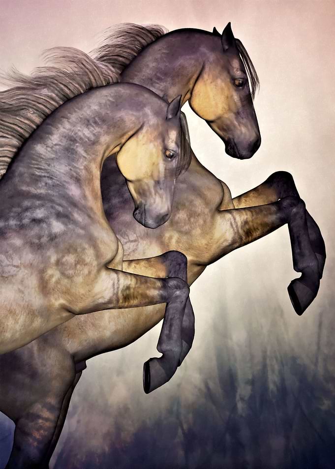 Stallions pastel