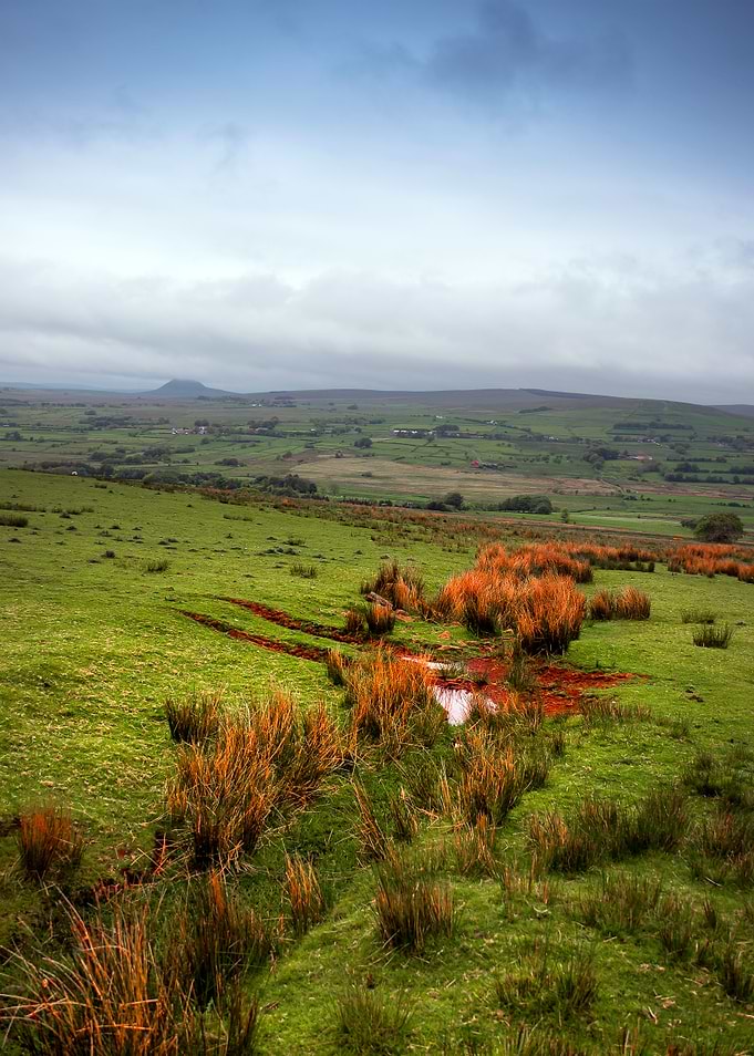 Open Land
