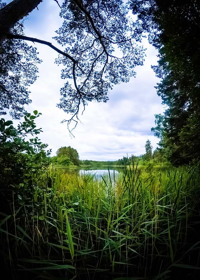 Lake View