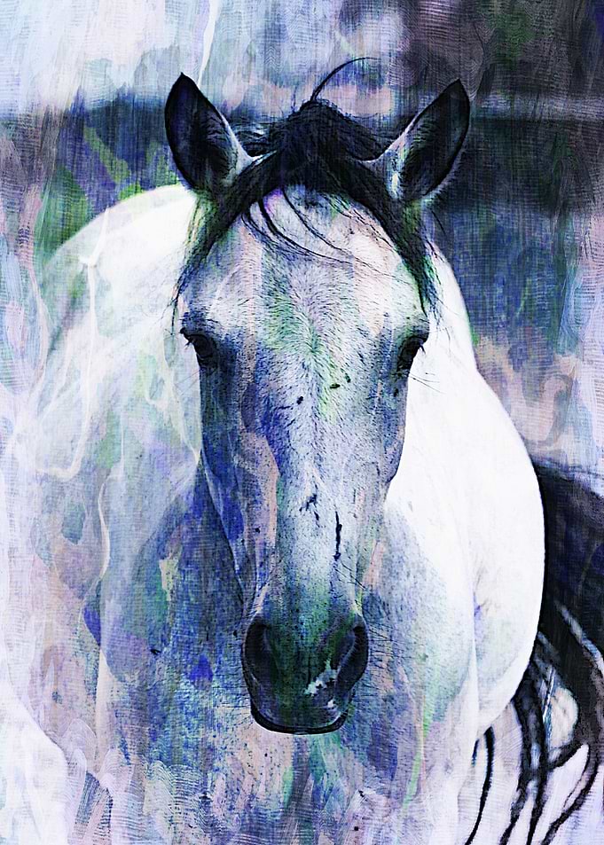 Pleasure Beautiful friendly pony portrait with a textur ...