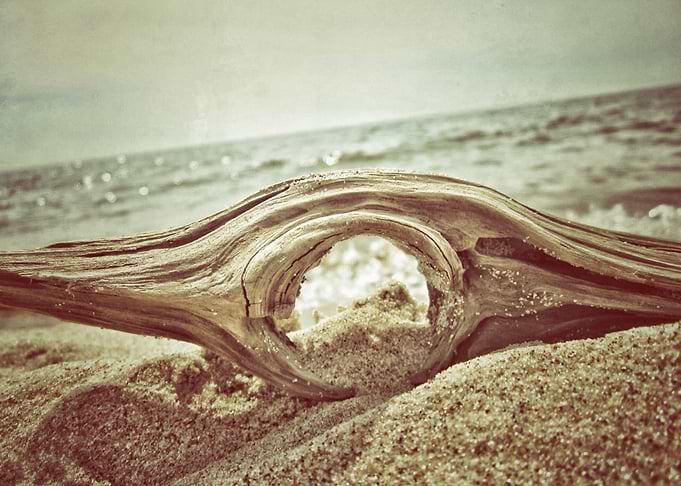 Knot Driftwood