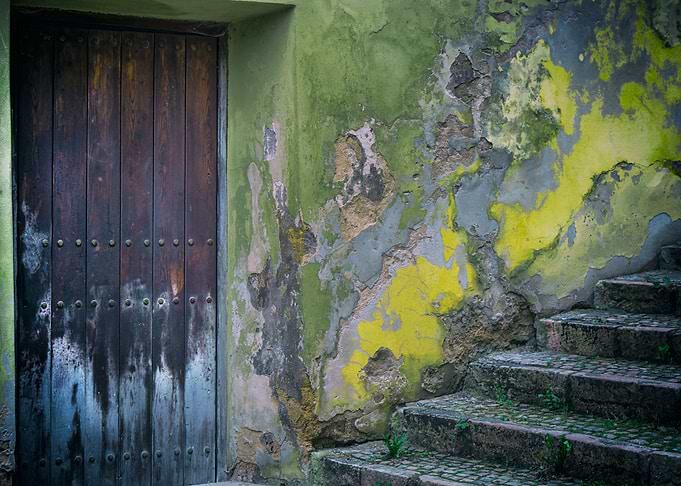 The Forgotten Door