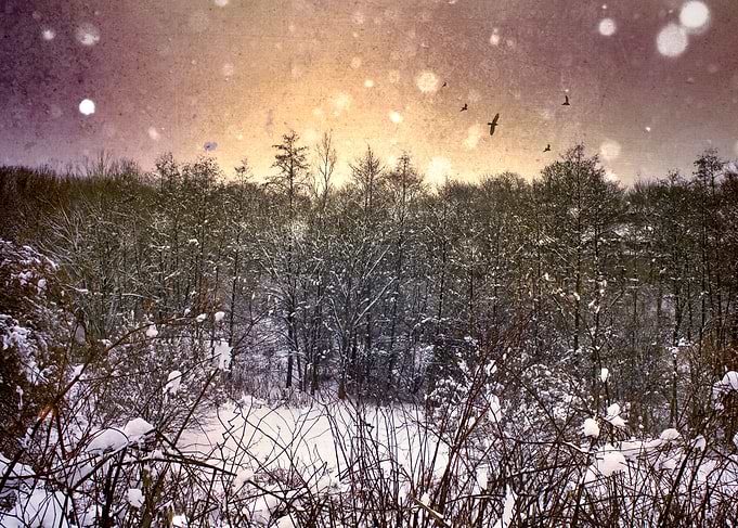 Wintry landscape impression